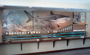 水族馆 - 大型艺术家 - 玻璃面包板上的播放